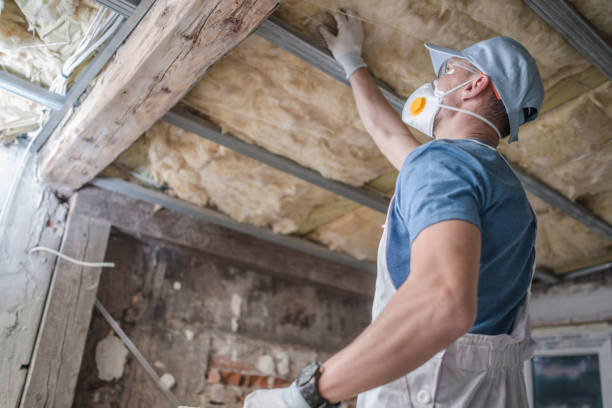 Types of Insulation We Offer in Lake Murray Of Richland, SC