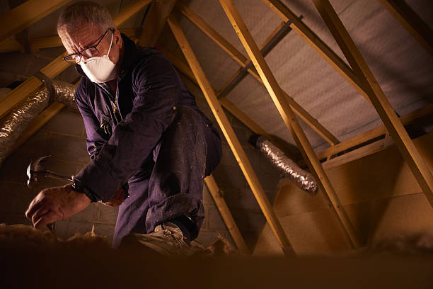 Best Fiberglass Insulation in Lake Murray Of Richland, SC