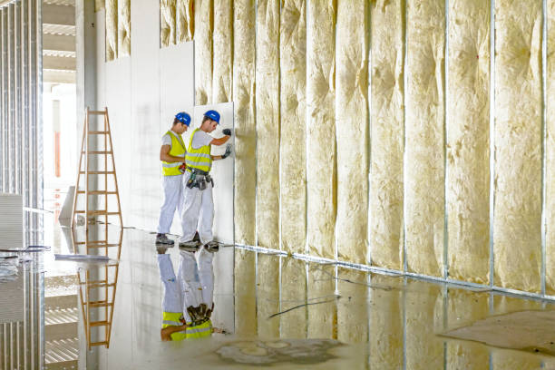 Best Energy Efficiency Insulation in Lake Murray Of Richland, SC
